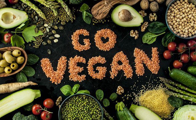 رژیم وگان: انتخابی هوشمندانه برای سلامتی 1 dab8c314 66e0 4ca5 9d76 4700a1278d5d