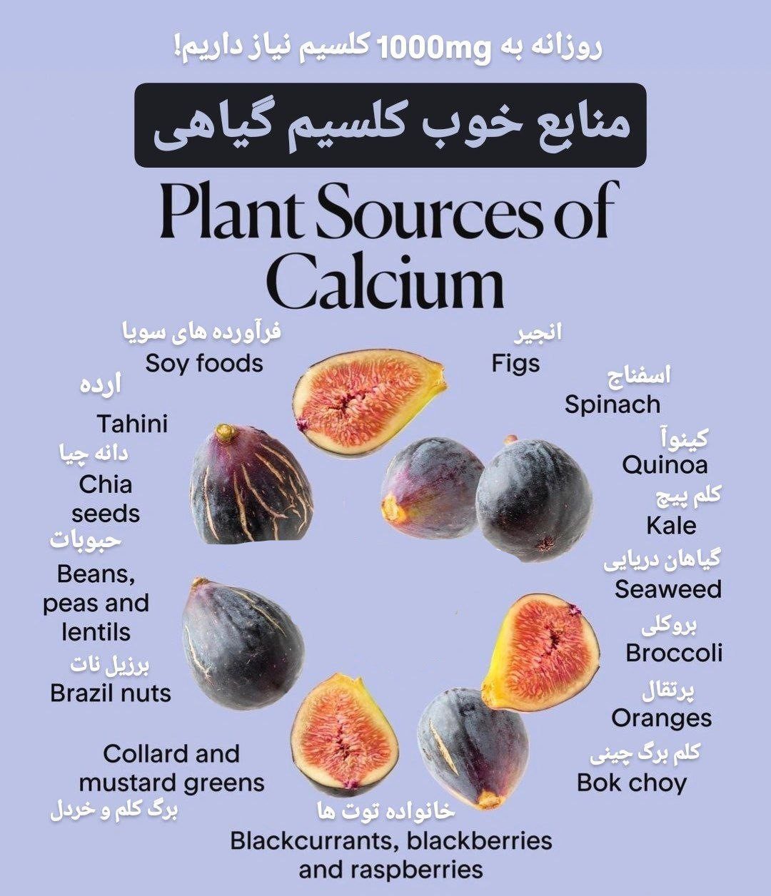 5943b062 c2b1 4bcc 824b 0757d4596b33