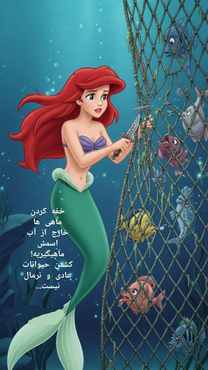 f59028fb 1948 4bf4 a820 1a68a541eb72