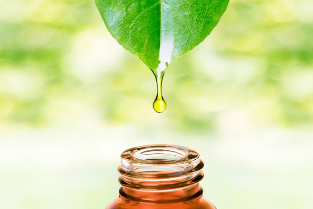 fec8a72c 0f03 4b42 875b a157aa079f2b