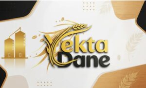 یكتا دانه اصفهان