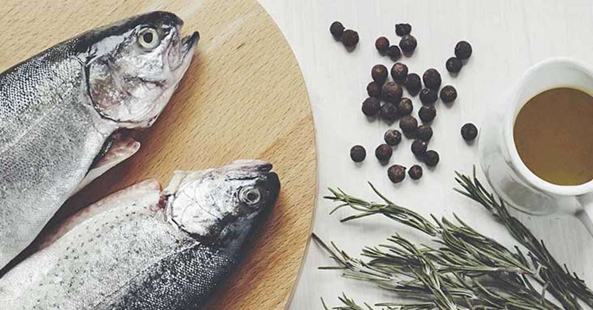 آیا ماهی غذای سالمی است؟ بررسی مزایا، چالشها و جایگزینهای گیاهی 1 a4f54975 9f40 4e52 9984 41f8512ff02c