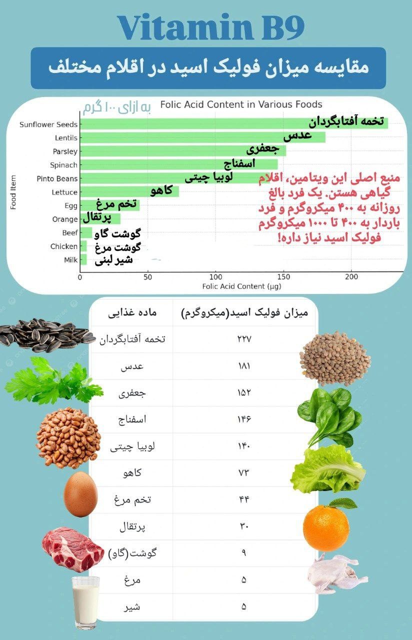 کبد چرب و رژیم گیاهمحور: نجات بدن و احترام به حیوانات 3 3e46e4cf 62de 4715 a93d 50f8df5ab035 1