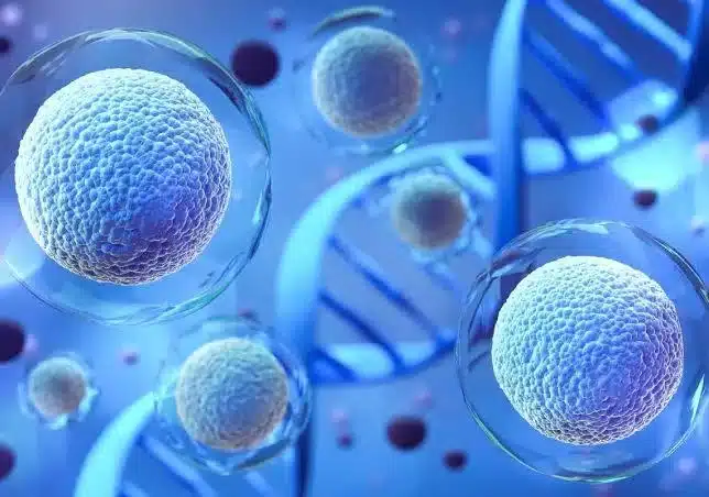 03b7f6a6 a283 4655 928a f0788ed20725