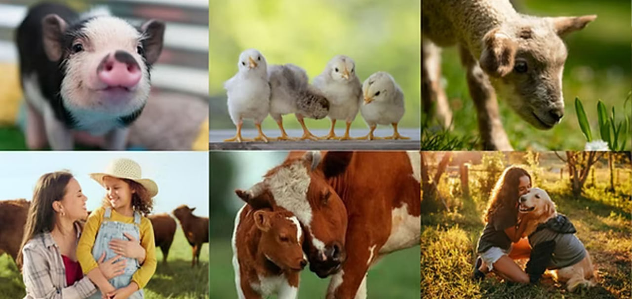 b46bbd96 28f1 428f 8732 8dfde79a1770